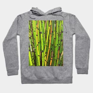 Grass reeds Hoodie